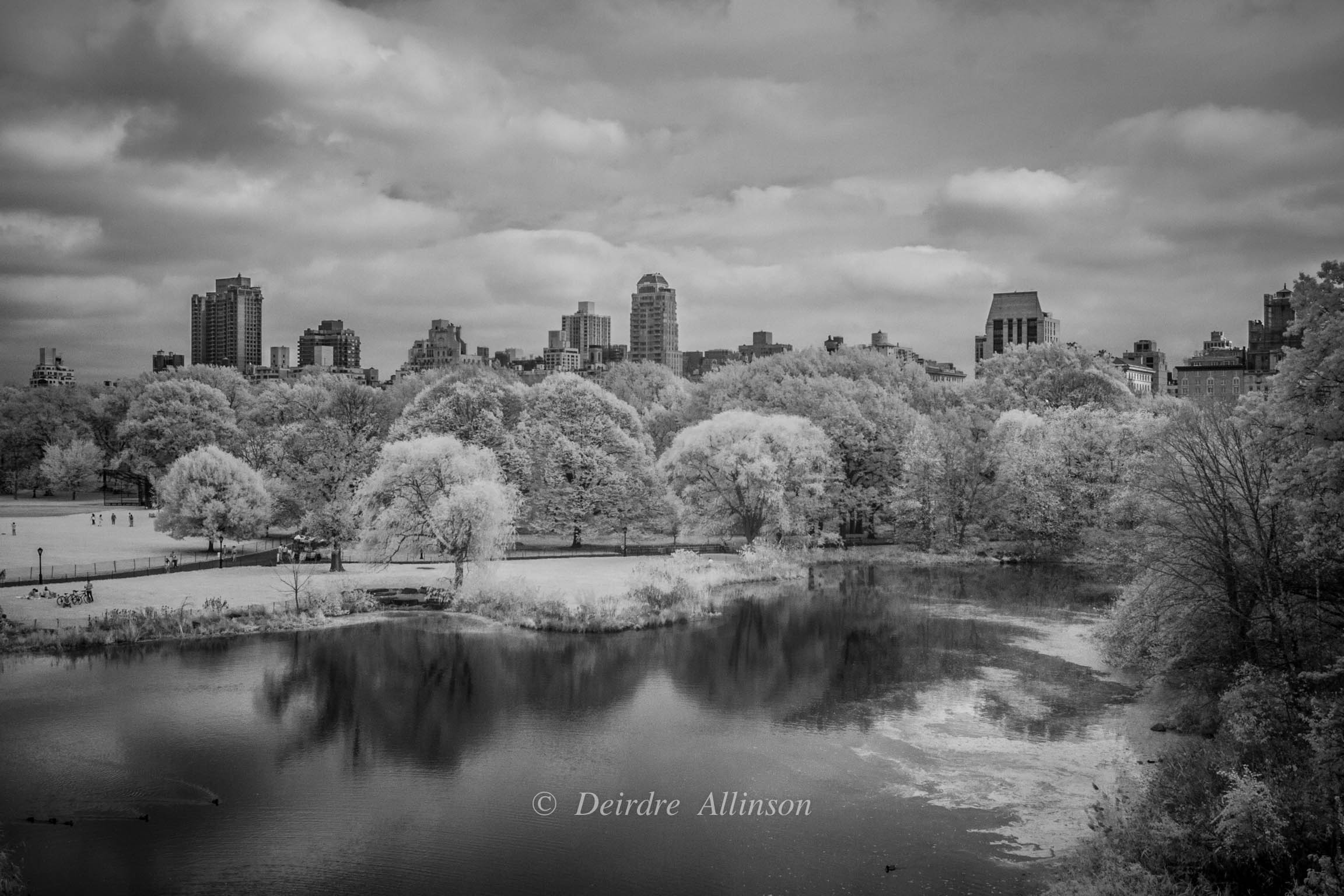 A Quiet Glimpse of Central Park