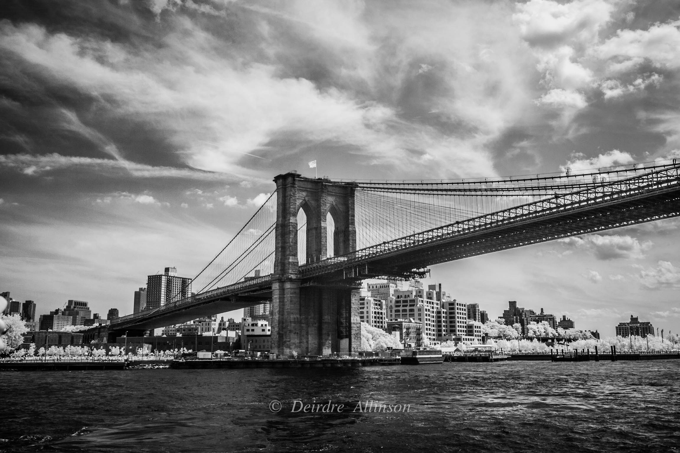 Brooklyn Bridge, from the Ferry
